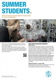  DESY Summer Student Programme 2020